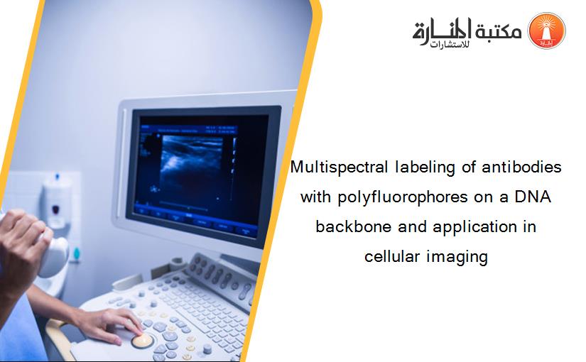 Multispectral labeling of antibodies with polyfluorophores on a DNA backbone and application in cellular imaging