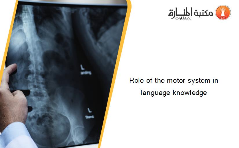 Role of the motor system in language knowledge