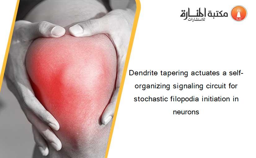 Dendrite tapering actuates a self-organizing signaling circuit for stochastic filopodia initiation in neurons