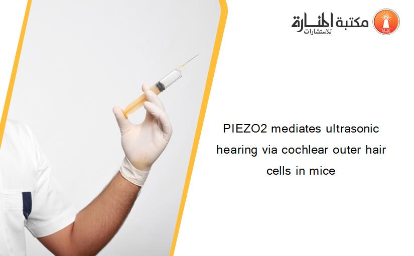 PIEZO2 mediates ultrasonic hearing via cochlear outer hair cells in mice
