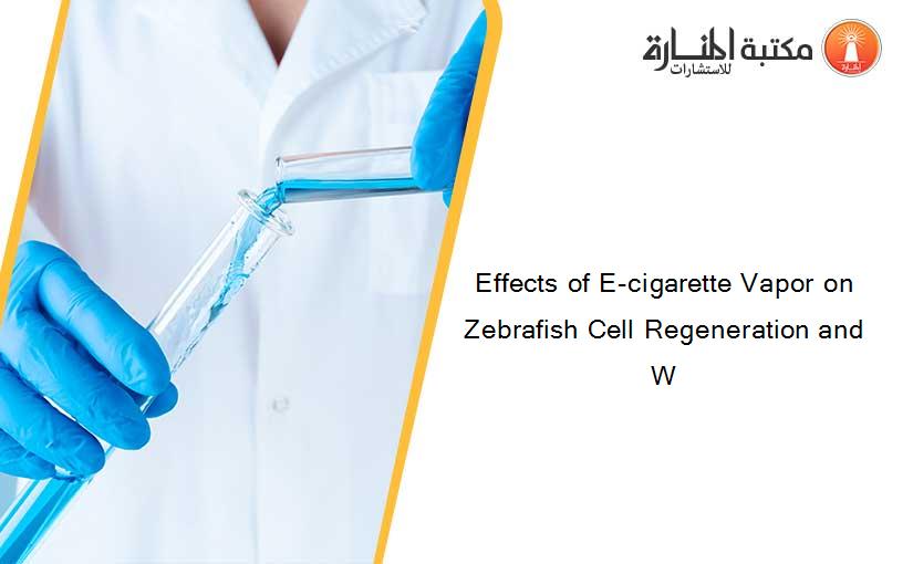 Effects of E-cigarette Vapor on Zebrafish Cell Regeneration and W