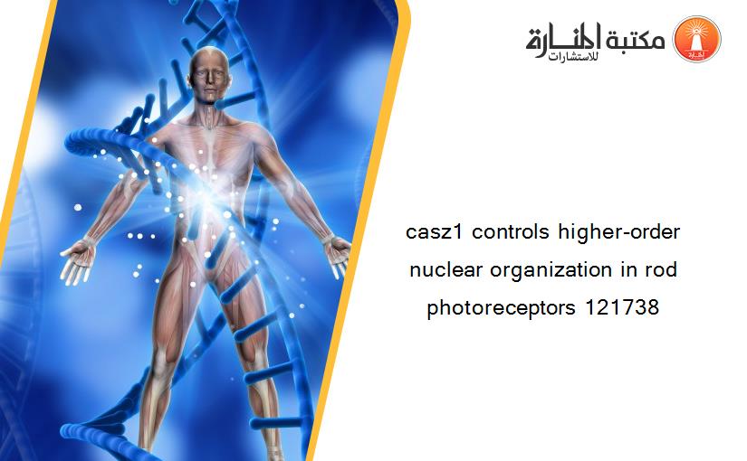 casz1 controls higher-order nuclear organization in rod photoreceptors 121738