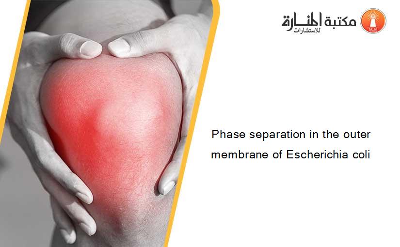 Phase separation in the outer membrane of Escherichia coli