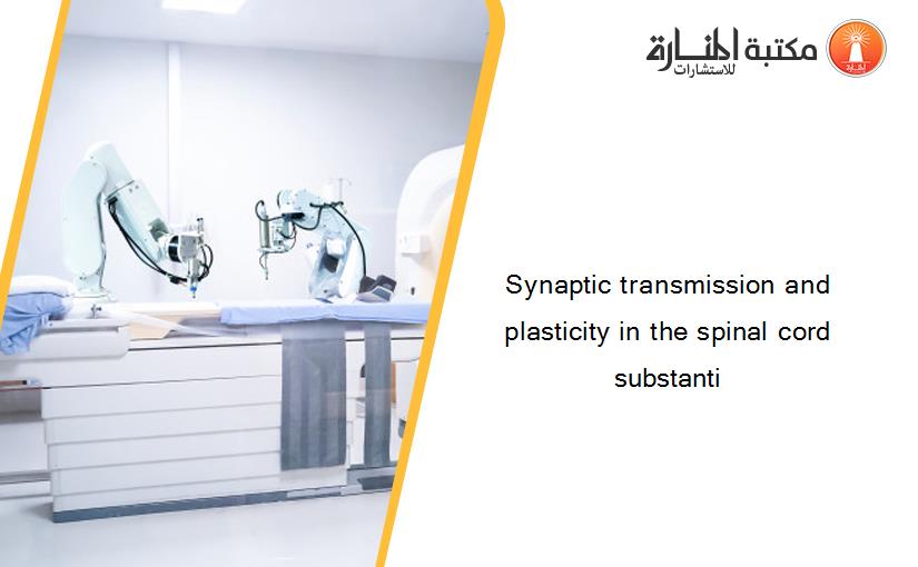 Synaptic transmission and plasticity in the spinal cord substanti