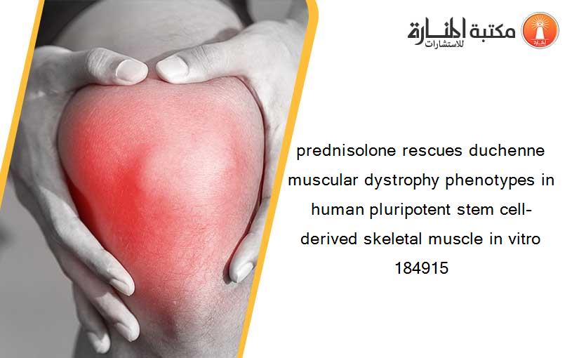 prednisolone rescues duchenne muscular dystrophy phenotypes in human pluripotent stem cell–derived skeletal muscle in vitro 184915