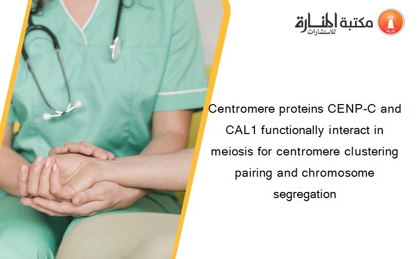Centromere proteins CENP-C and CAL1 functionally interact in meiosis for centromere clustering pairing and chromosome segregation