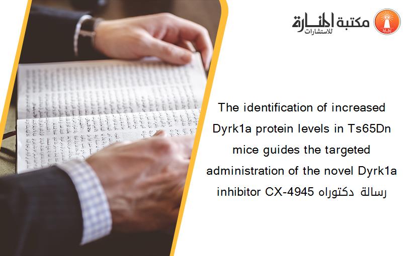 The identification of increased Dyrk1a protein levels in Ts65Dn mice guides the targeted administration of the novel Dyrk1a inhibitor CX-4945 رسالة دكتوراه