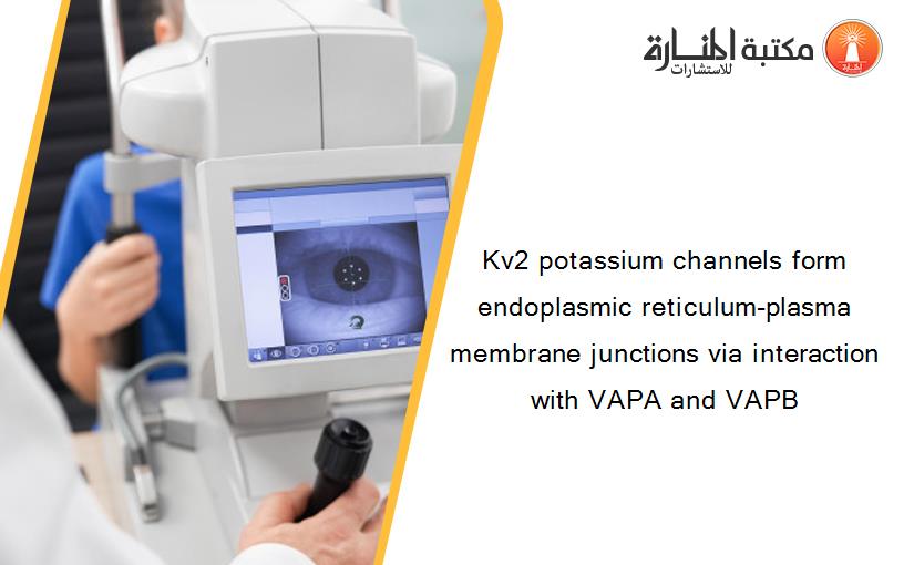 Kv2 potassium channels form endoplasmic reticulum-plasma membrane junctions via interaction with VAPA and VAPB