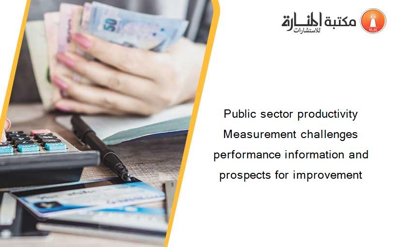 Public sector productivity Measurement challenges performance information and prospects for improvement