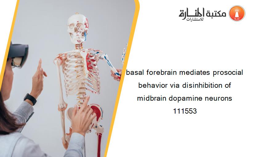 basal forebrain mediates prosocial behavior via disinhibition of midbrain dopamine neurons 111553