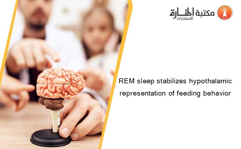 REM sleep stabilizes hypothalamic representation of feeding behavior