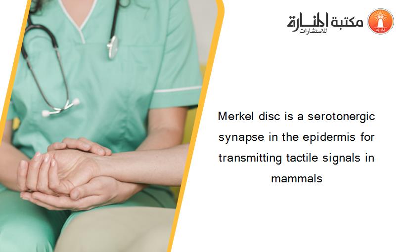 Merkel disc is a serotonergic synapse in the epidermis for transmitting tactile signals in mammals