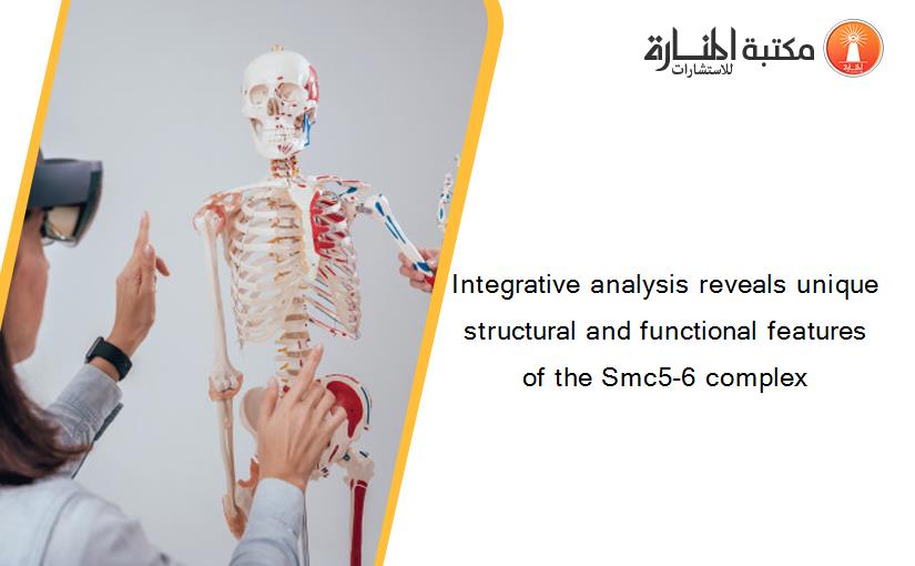 Integrative analysis reveals unique structural and functional features of the Smc5-6 complex
