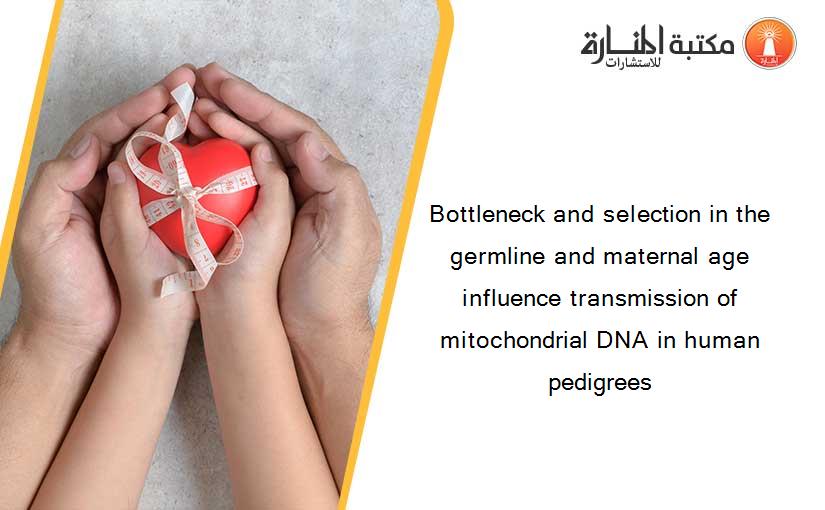 Bottleneck and selection in the germline and maternal age influence transmission of mitochondrial DNA in human pedigrees