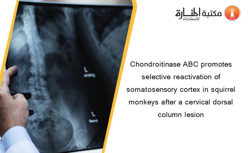 Chondroitinase ABC promotes selective reactivation of somatosensory cortex in squirrel monkeys after a cervical dorsal column lesion