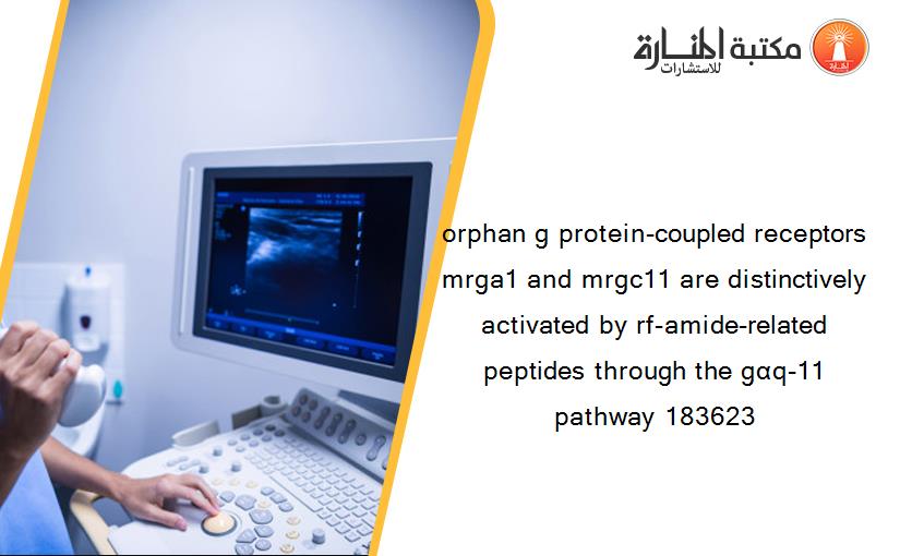 orphan g protein-coupled receptors mrga1 and mrgc11 are distinctively activated by rf-amide-related peptides through the gαq-11 pathway 183623