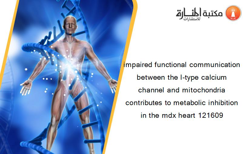 impaired functional communication between the l-type calcium channel and mitochondria contributes to metabolic inhibition in the mdx heart 121609