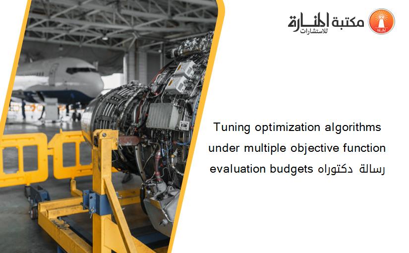 Tuning optimization algorithms under multiple objective function evaluation budgets رسالة دكتوراه