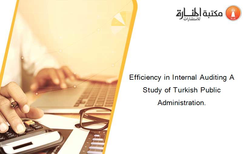 Efficiency in Internal Auditing A Study of Turkish Public Administration.