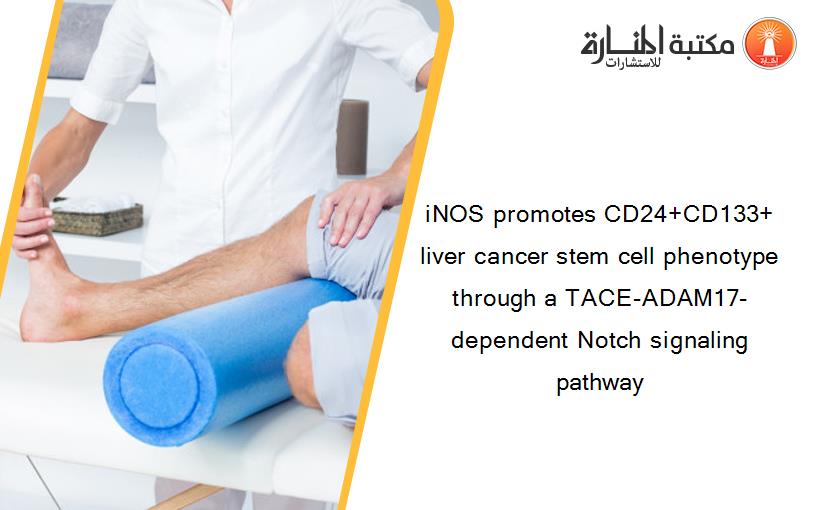 iNOS promotes CD24+CD133+ liver cancer stem cell phenotype through a TACE-ADAM17-dependent Notch signaling pathway
