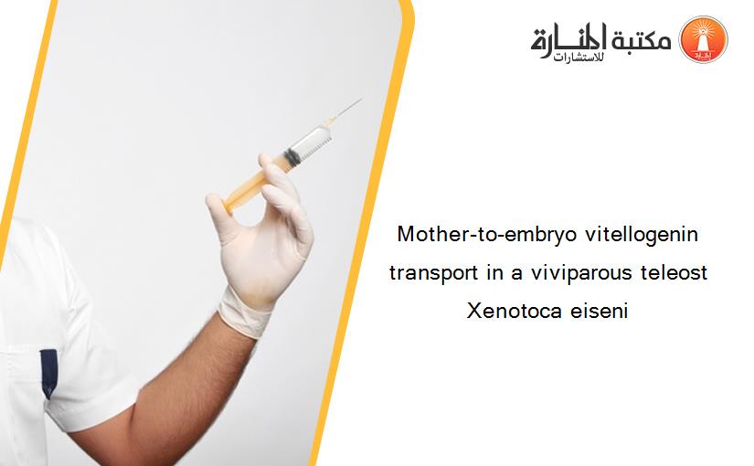 Mother-to-embryo vitellogenin transport in a viviparous teleost Xenotoca eiseni