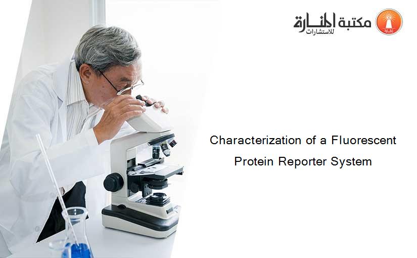 Characterization of a Fluorescent Protein Reporter System