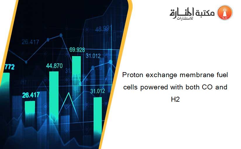 Proton exchange membrane fuel cells powered with both CO and H2