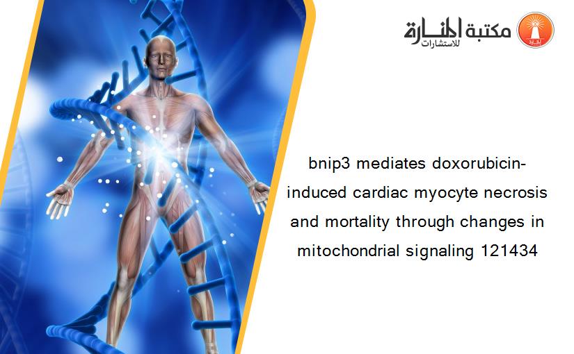 bnip3 mediates doxorubicin-induced cardiac myocyte necrosis and mortality through changes in mitochondrial signaling 121434