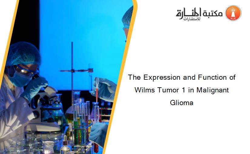 The Expression and Function of Wilms Tumor 1 in Malignant Glioma