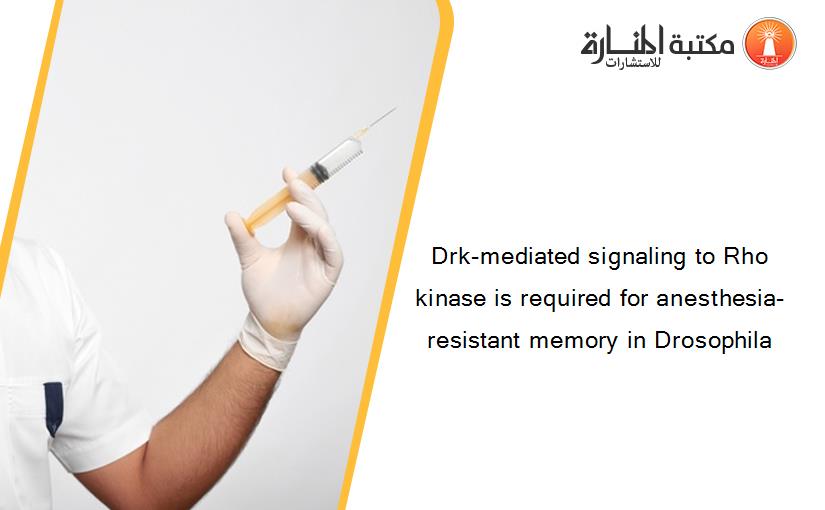 Drk-mediated signaling to Rho kinase is required for anesthesia-resistant memory in Drosophila