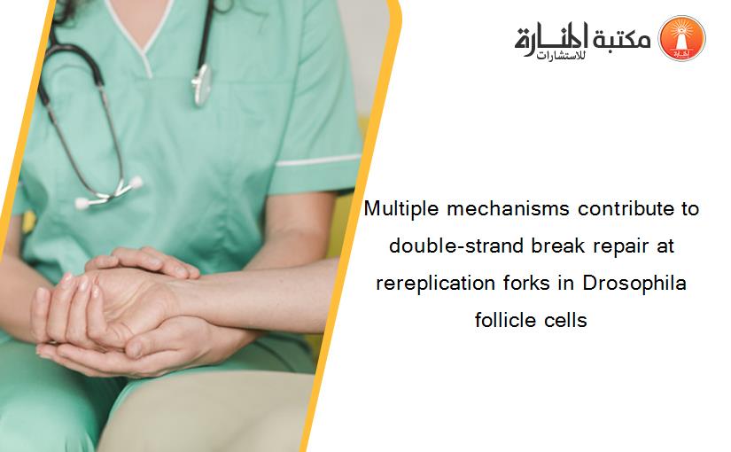 Multiple mechanisms contribute to double-strand break repair at rereplication forks in Drosophila follicle cells