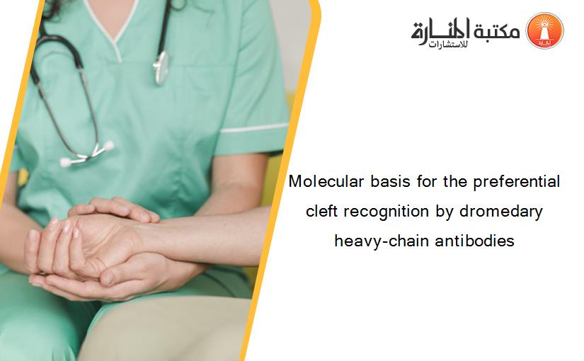 Molecular basis for the preferential cleft recognition by dromedary heavy-chain antibodies