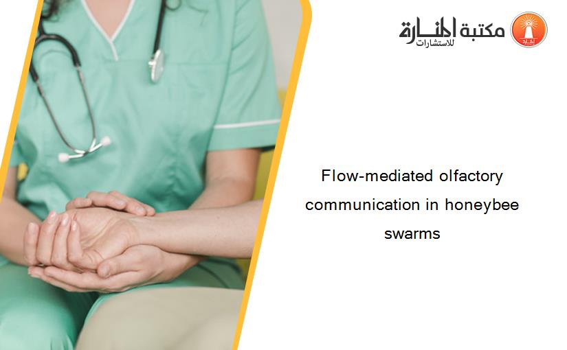 Flow-mediated olfactory communication in honeybee swarms
