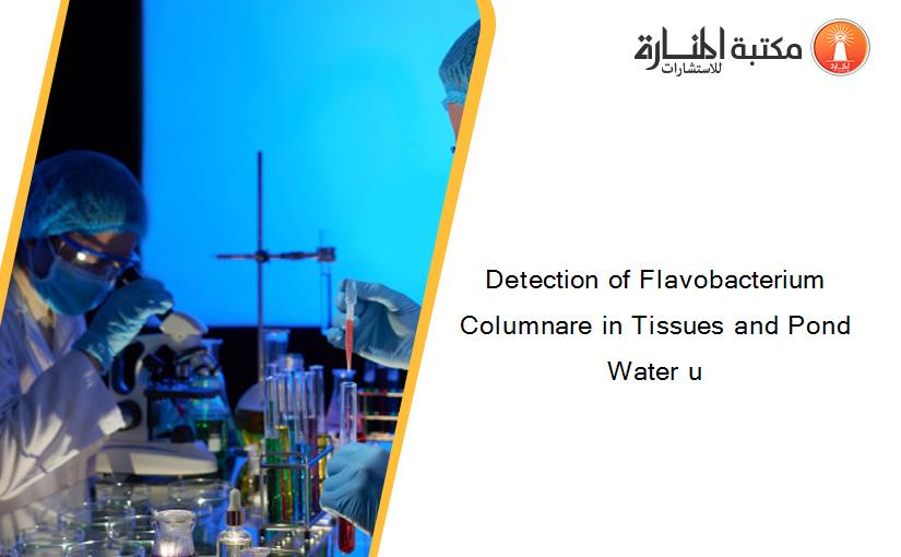 Detection of Flavobacterium Columnare in Tissues and Pond Water u