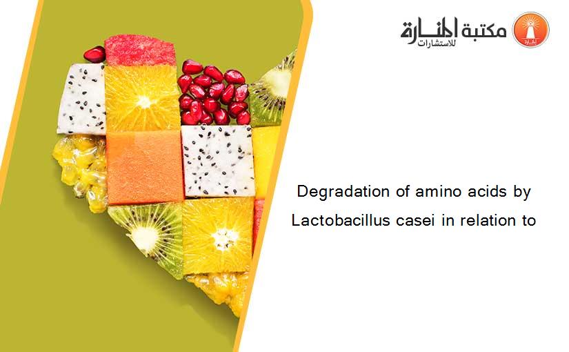Degradation of amino acids by Lactobacillus casei in relation to