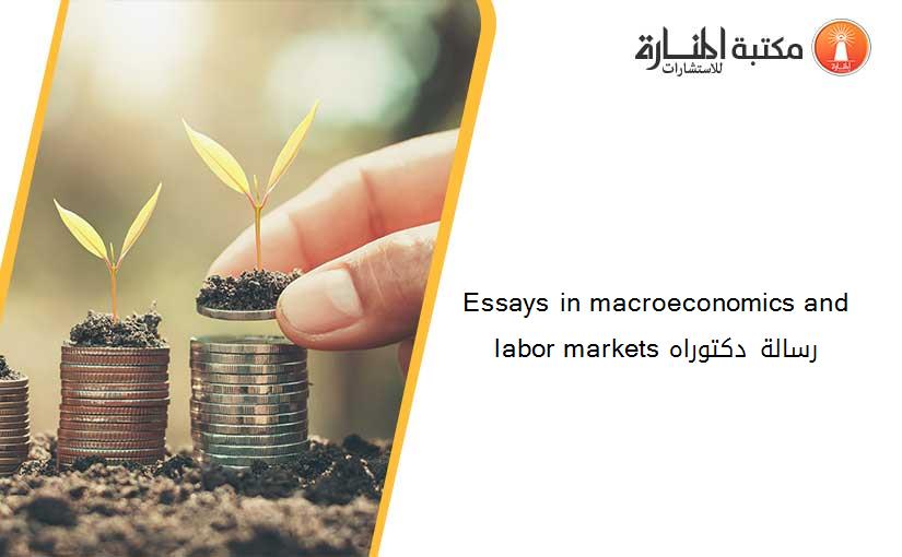 Essays in macroeconomics and labor markets رسالة دكتوراه