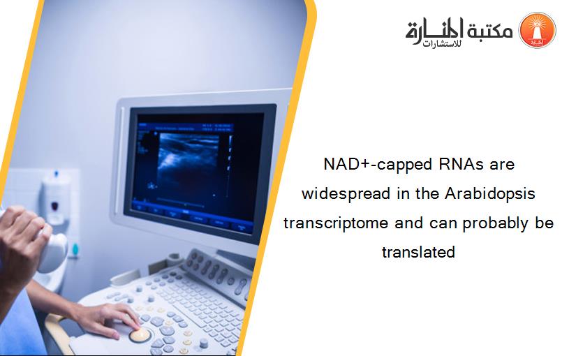 NAD+-capped RNAs are widespread in the Arabidopsis transcriptome and can probably be translated