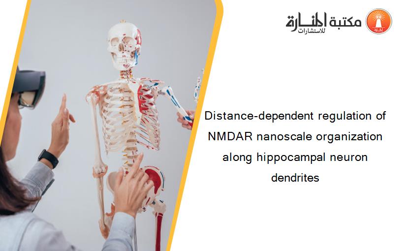 Distance-dependent regulation of NMDAR nanoscale organization along hippocampal neuron dendrites