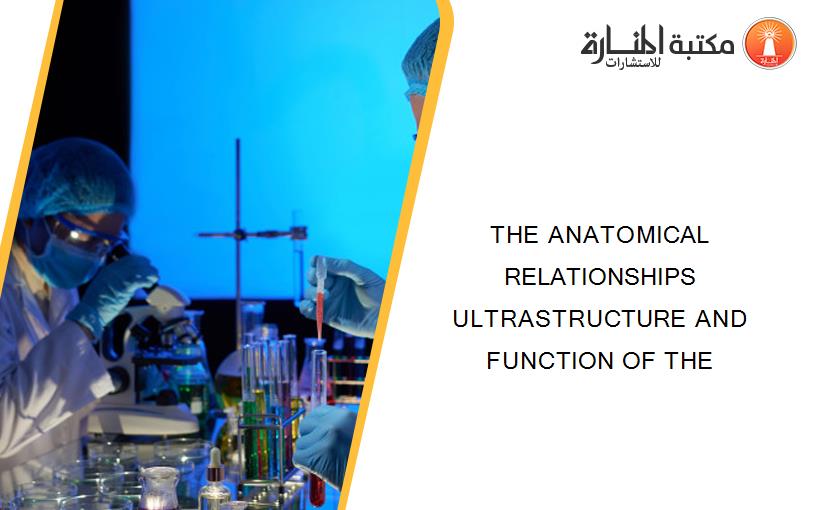 THE ANATOMICAL RELATIONSHIPS ULTRASTRUCTURE AND FUNCTION OF THE