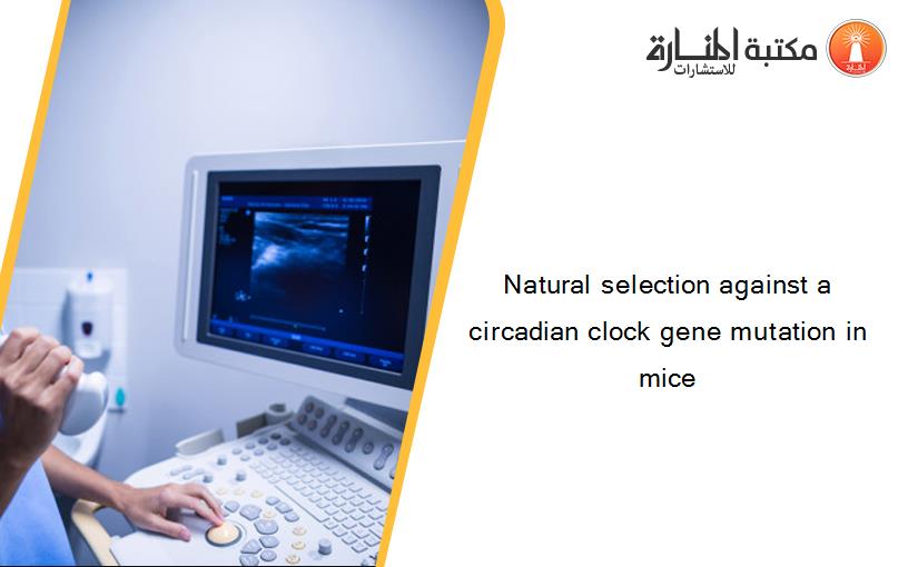 Natural selection against a circadian clock gene mutation in mice