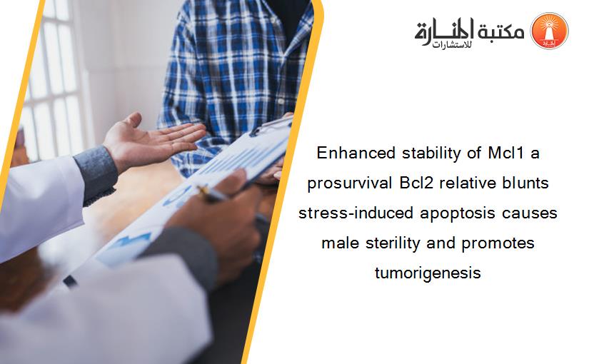 Enhanced stability of Mcl1 a prosurvival Bcl2 relative blunts stress-induced apoptosis causes male sterility and promotes tumorigenesis