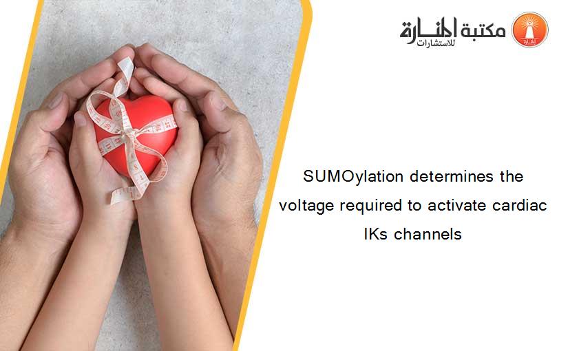 SUMOylation determines the voltage required to activate cardiac IKs channels