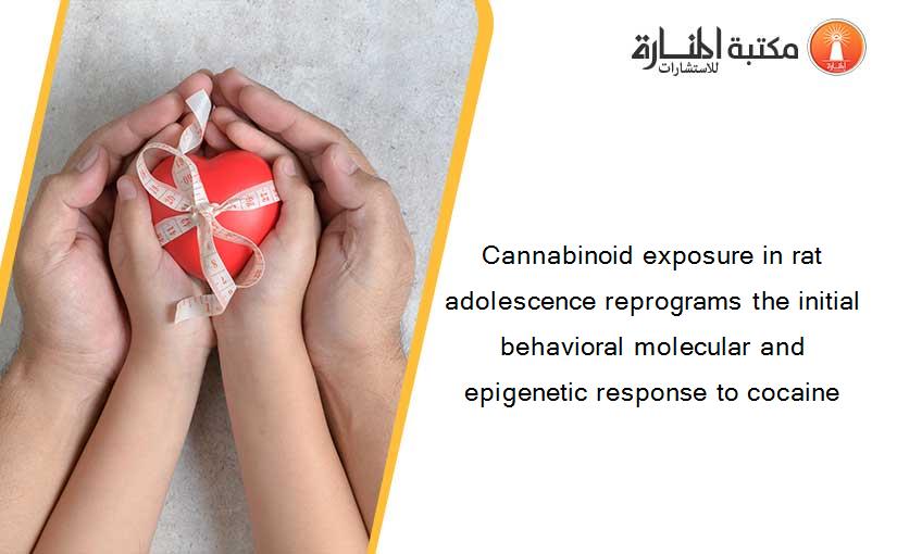 Cannabinoid exposure in rat adolescence reprograms the initial behavioral molecular and epigenetic response to cocaine