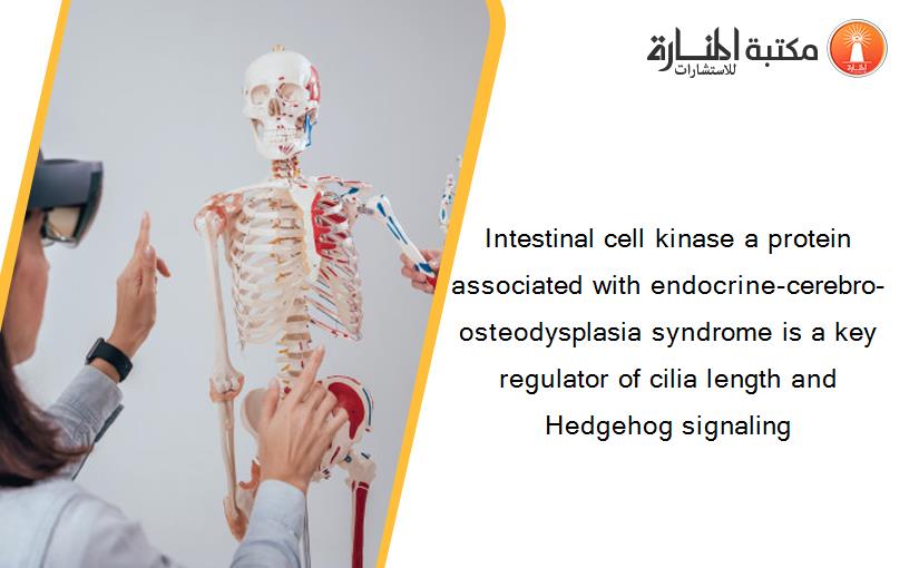 Intestinal cell kinase a protein associated with endocrine-cerebro-osteodysplasia syndrome is a key regulator of cilia length and Hedgehog signaling