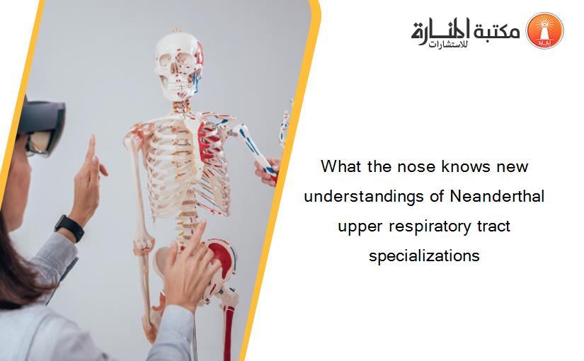 What the nose knows new understandings of Neanderthal upper respiratory tract specializations