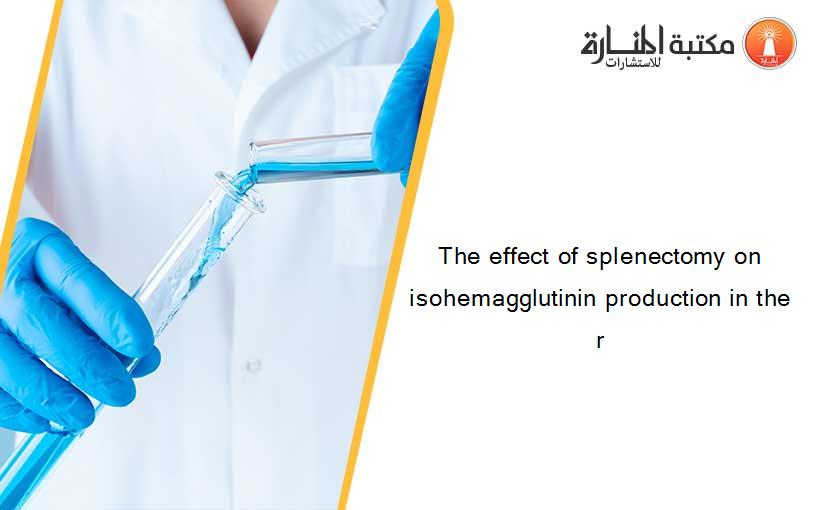 The effect of splenectomy on isohemagglutinin production in the r