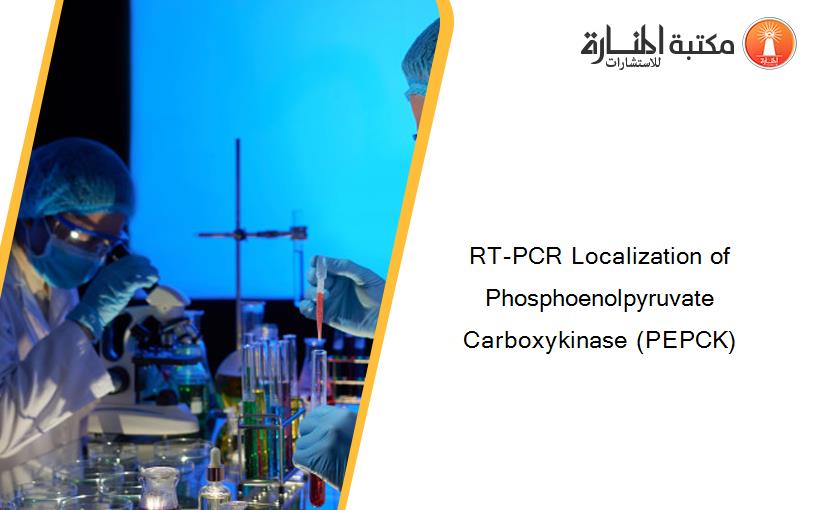 RT-PCR Localization of Phosphoenolpyruvate Carboxykinase (PEPCK)
