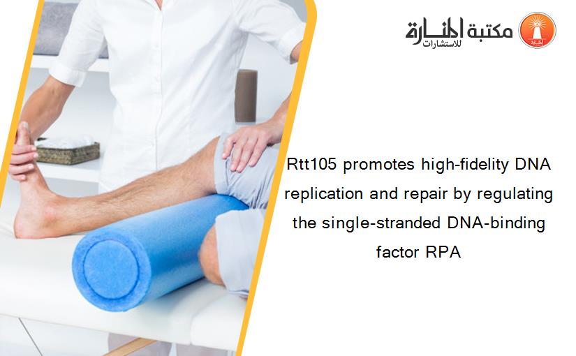Rtt105 promotes high-fidelity DNA replication and repair by regulating the single-stranded DNA-binding factor RPA