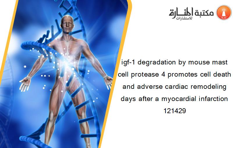 igf-1 degradation by mouse mast cell protease 4 promotes cell death and adverse cardiac remodeling days after a myocardial infarction 121429