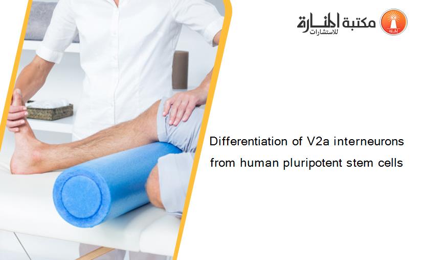 Differentiation of V2a interneurons from human pluripotent stem cells